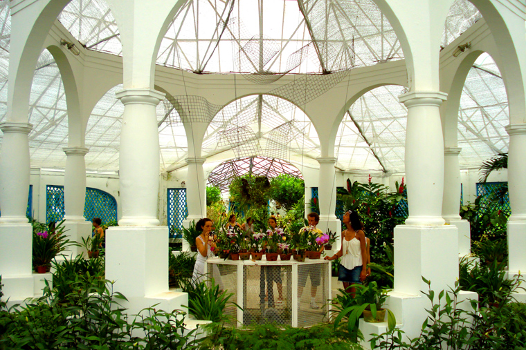 Jardim Botanico 5