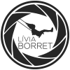 Logo Livia Borret fotografia Rio